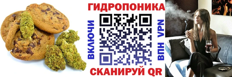 Купить закладки  Курчалой  Cannafood марихуана 