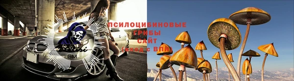 apvp Белоозёрский