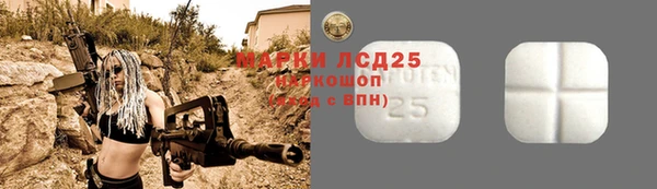 mdpv Богородск