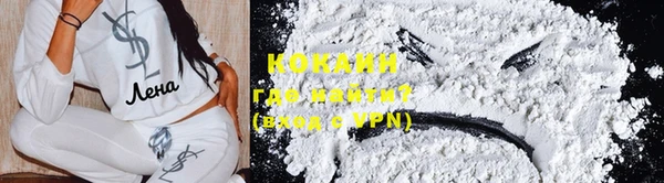 эйфоретик Богданович