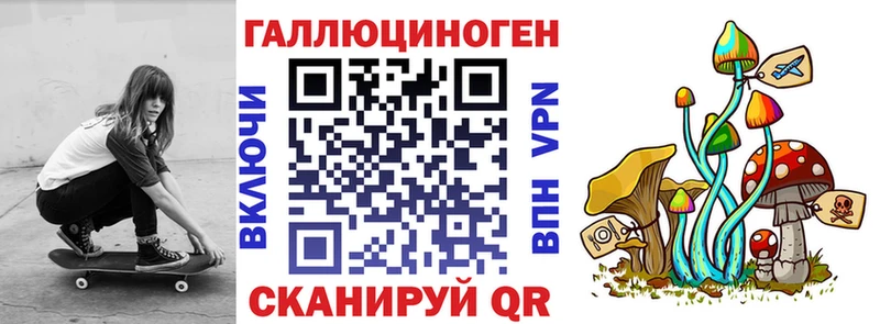 Купить где  Курчалой  Галлюциногенные грибы Psilocybe 
