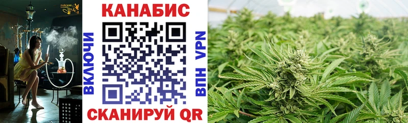 Купить где  Курчалой  Каннабис ГИДРОПОН 